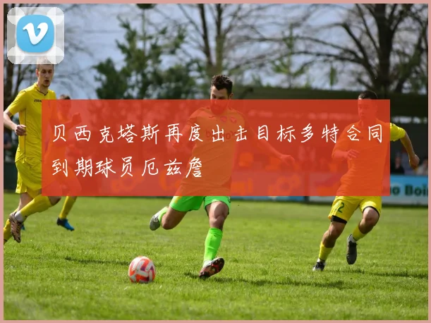 贝西克塔斯再度出击目标多特合同到期球员厄兹詹