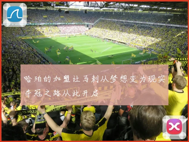哈珀的加盟让马刺从梦想变为现实夺冠之路从此开启