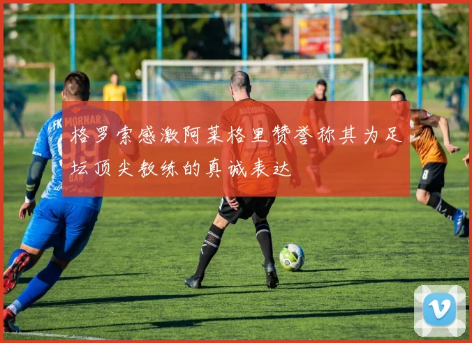 格罗索感激阿莱格里赞誉称其为足坛顶尖教练的真诚表达