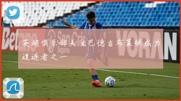 英超俱乐部关注巴德吉布莱顿成为追逐者之一